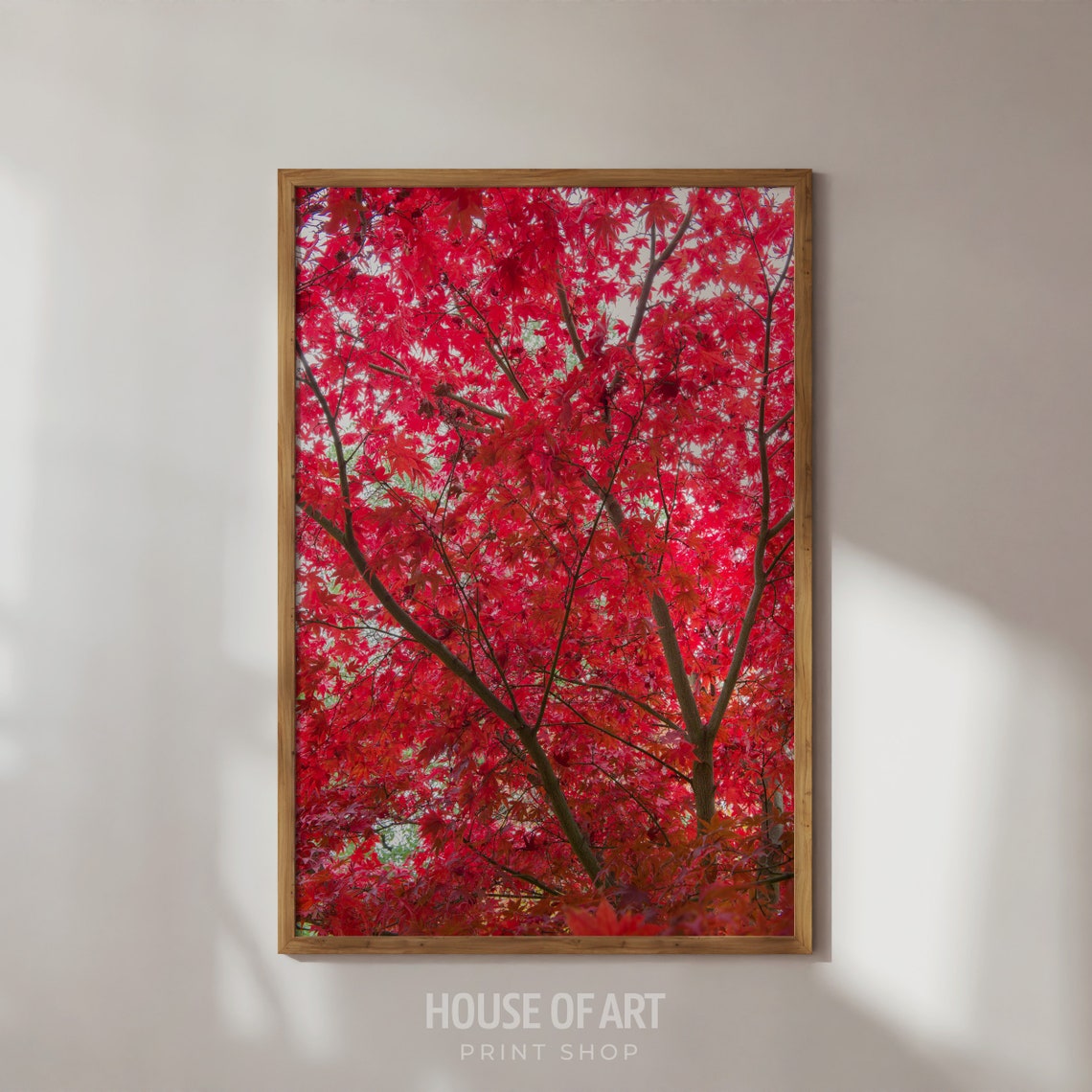 Red Autumn Maple Leaves Canopy Fall Photography Nature Art Poster