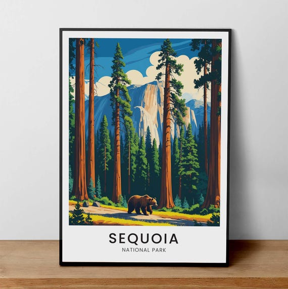 Sequoia National Park Poster Forest Illustration