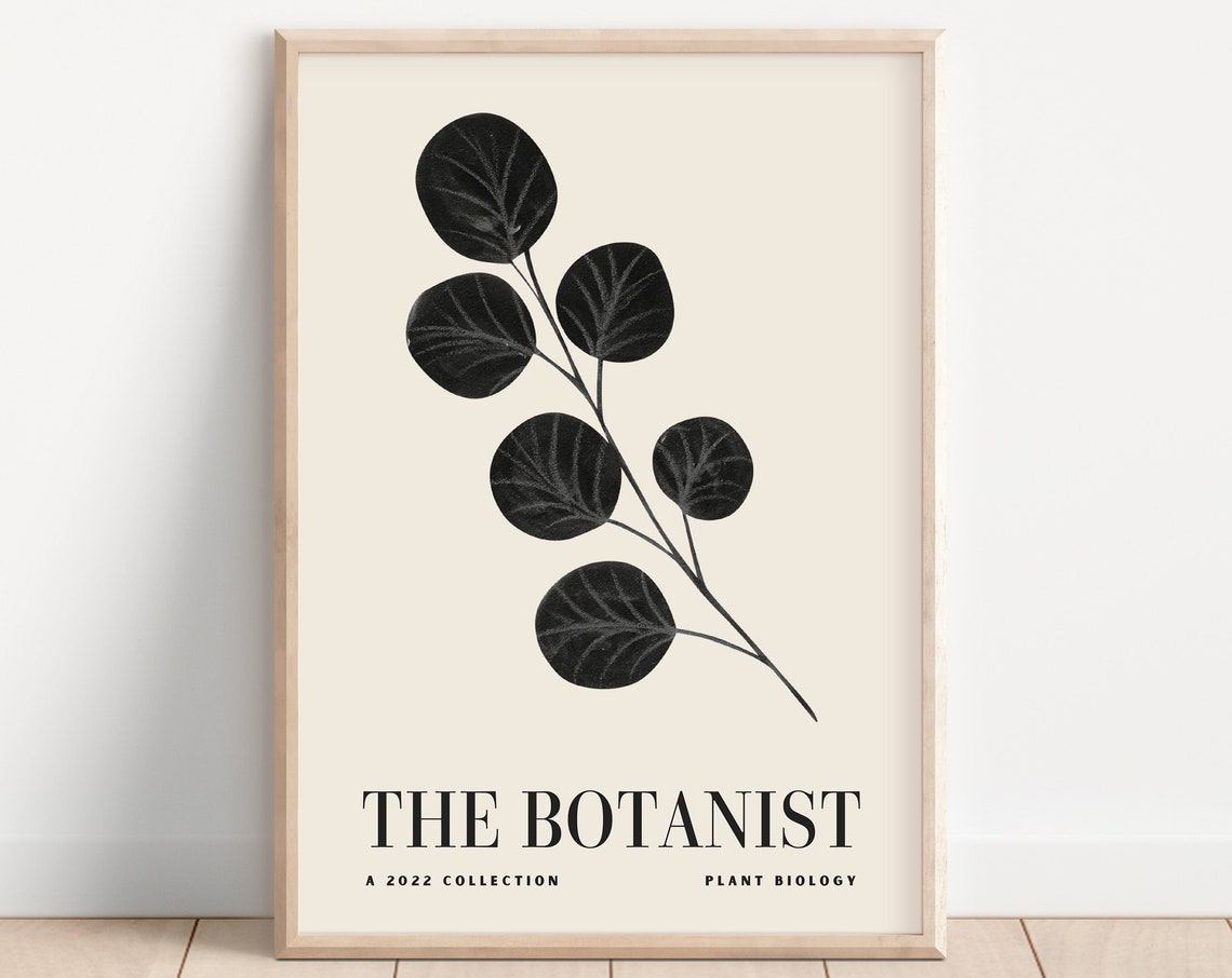 The Botanist Eucalyptus Round Leaf Minimalist Botanical Art Poster