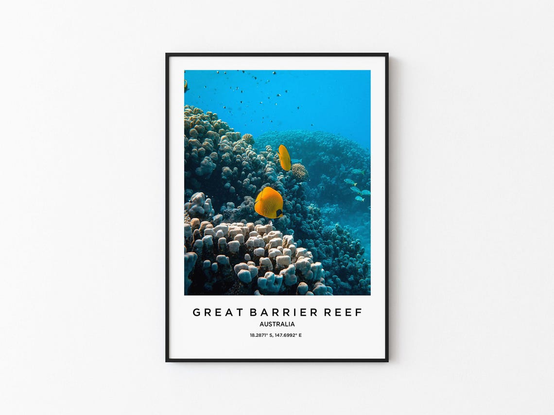 Great Barrier Reef Australia Coral Fish Underwater Ocean Poster
