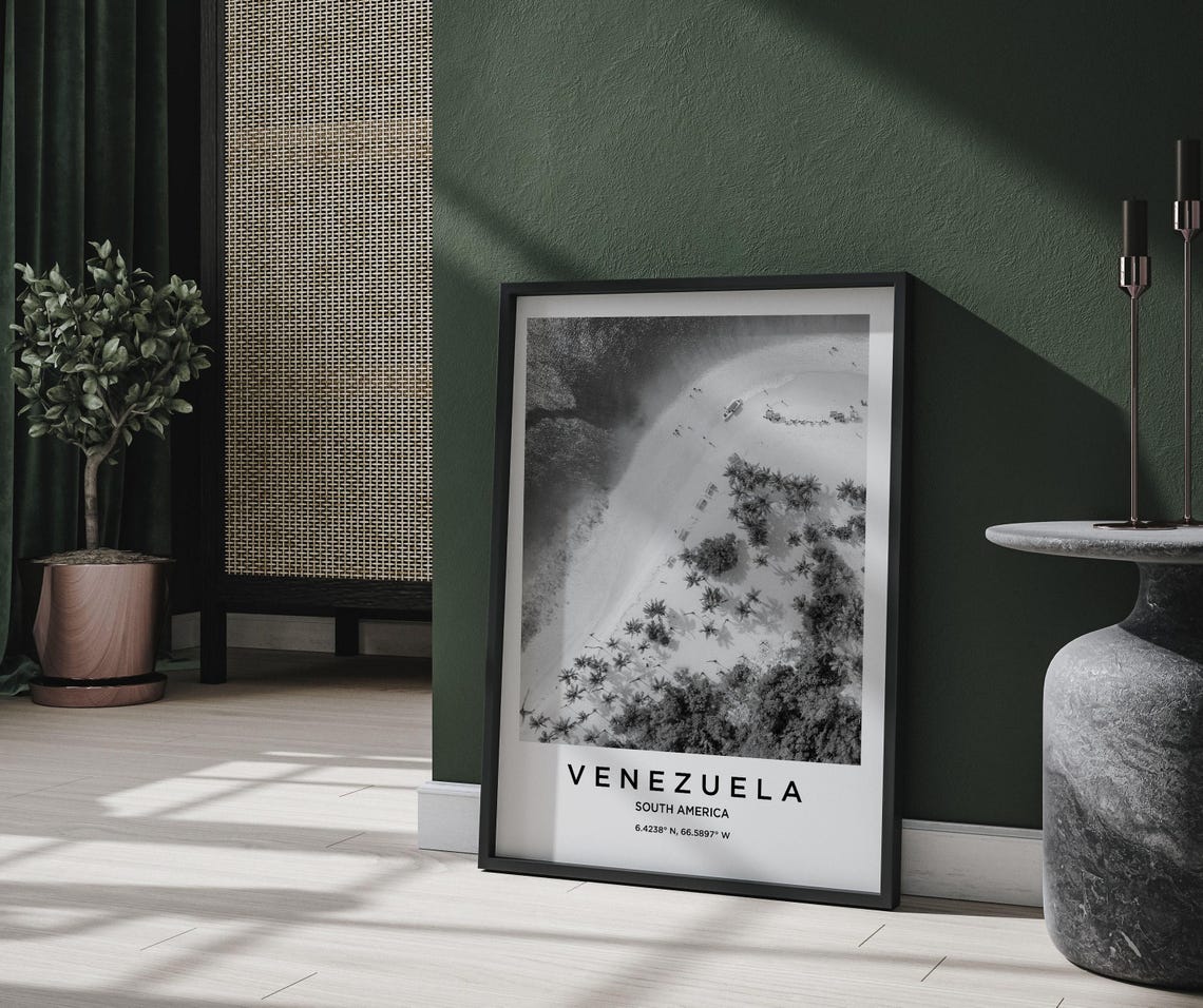 Venezuela Aerial Beach Palm Trees Black and White Coastal Poster - Image 2
