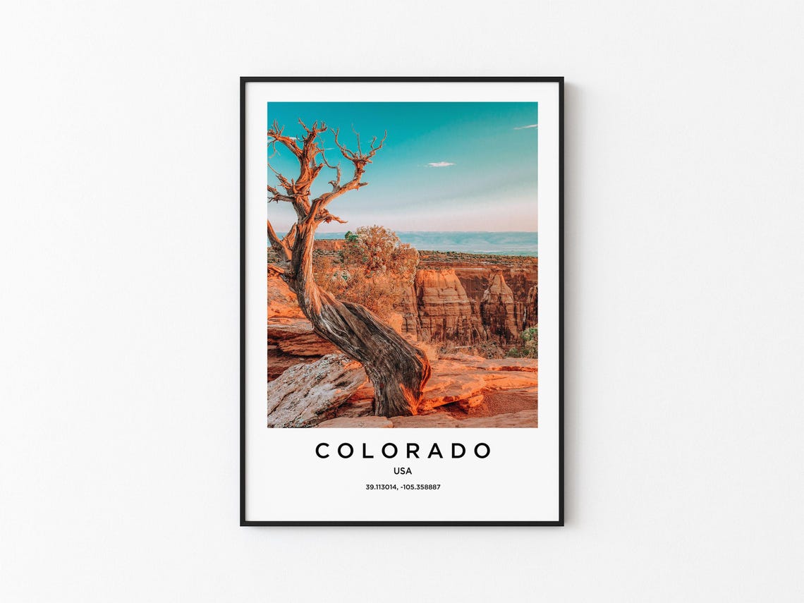 Colorado Canyon Overlook Twisted Juniper Red Rock Photo Poster