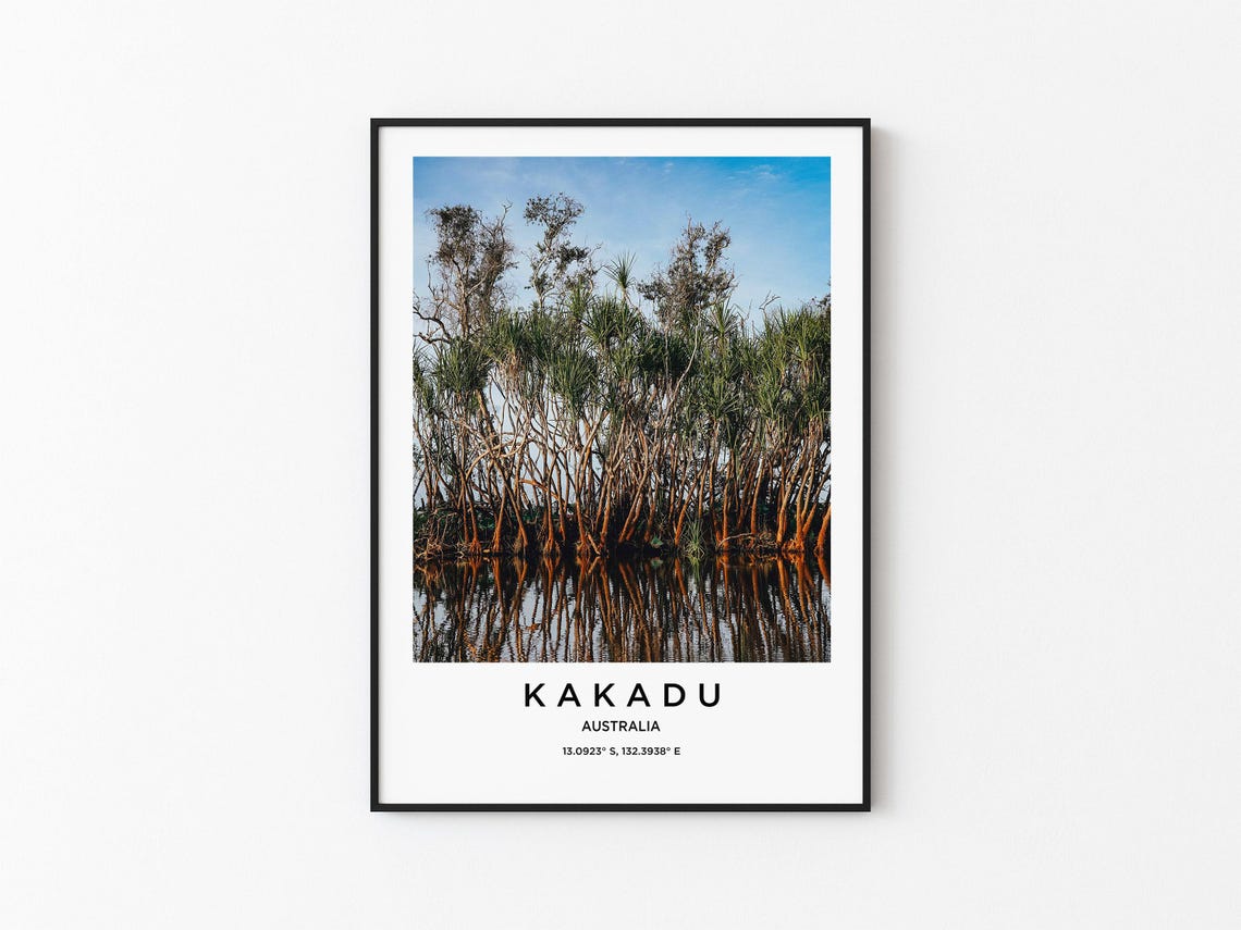 Kakadu Australia Wetland Trees Water Reflection Photo Poster