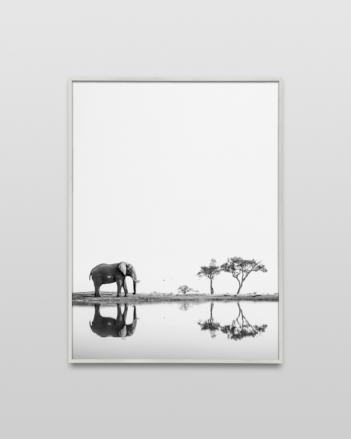 Elephant Photo, Safari African Animal Poster