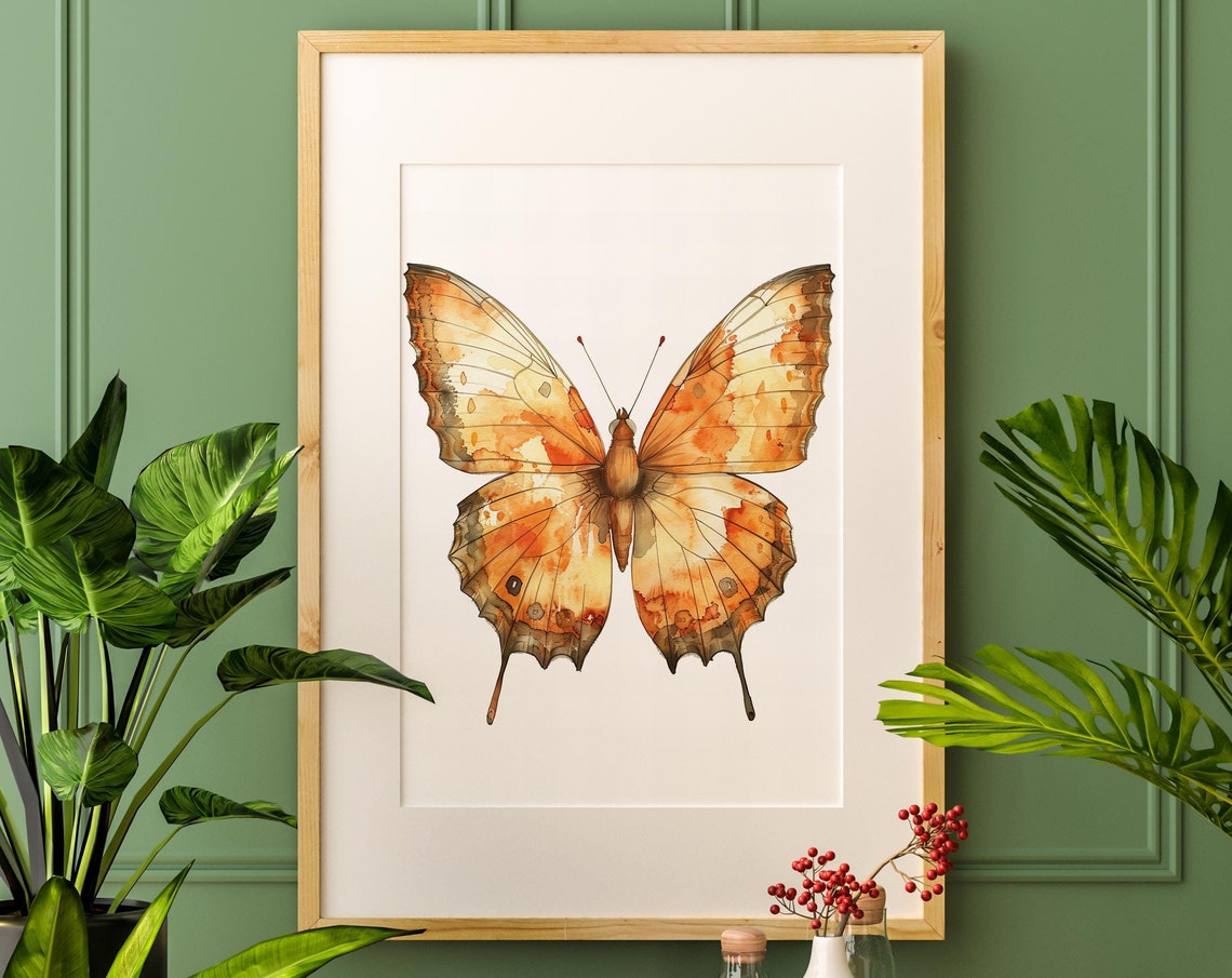 Orange Butterfly Watercolor Single Specimen Botanical Art Poster - Image 5