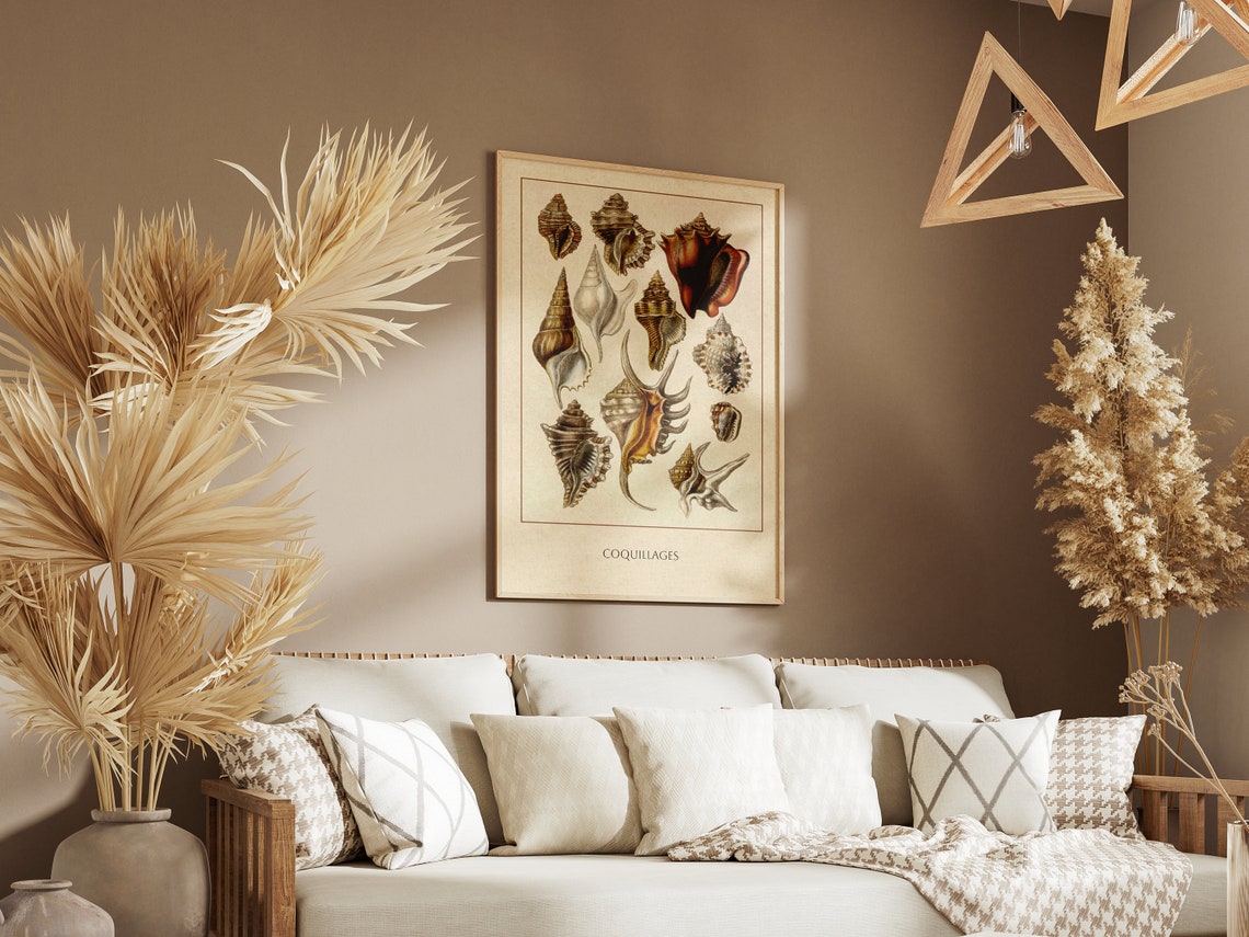 Vintage Coquillages Seashell Natural History Illustration Poster - Image 3