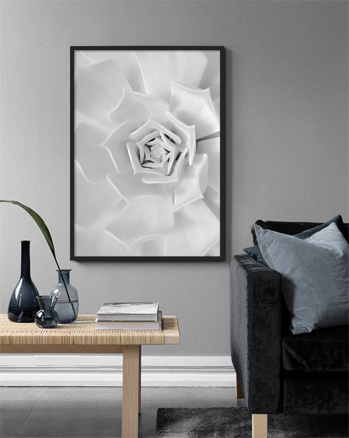 White Echeveria Succulent Macro Petals Black White Botanical Poster - Image 2