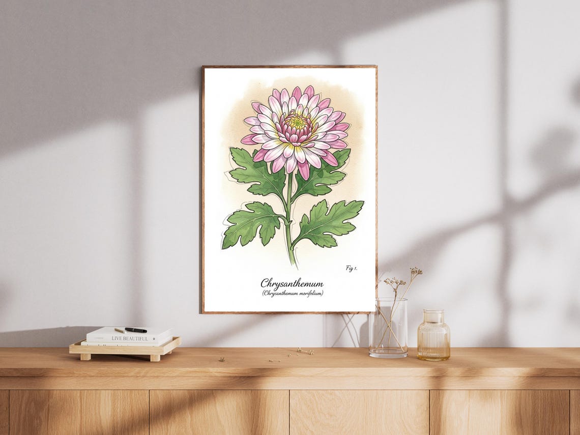Chrysanthemum Watercolor Print Botanical Floral Wall Art