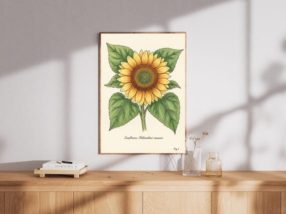 Vintage Sunflower Watercolor Print Botanical Illustration
