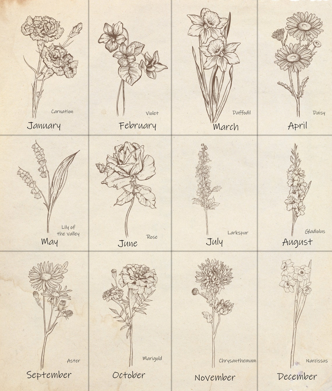 Grandmas Garden Flower Print Moms Garden Family Birth Month Flowers Custom Order Antique Sepia Flower Print - Image 3