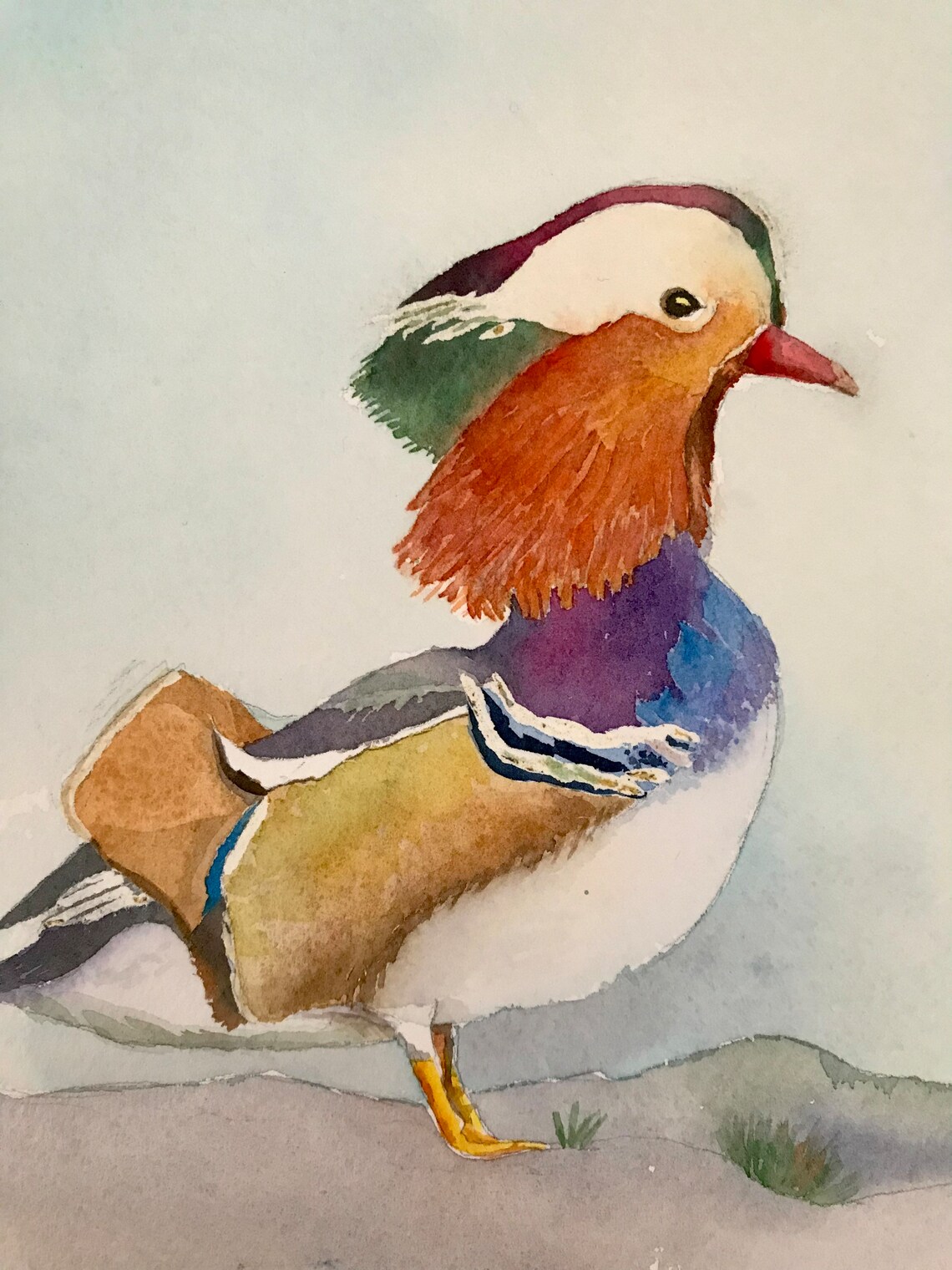 Mandarin Duck Drake Portrait in a Colorful Watercolor Style Poster - Image 2