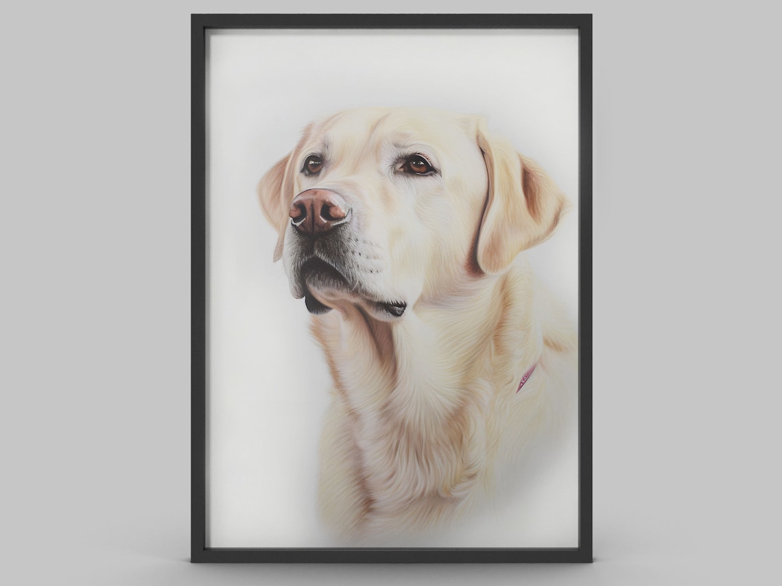 Golden Labrador Animal Dog Art Print, Modern Sketch