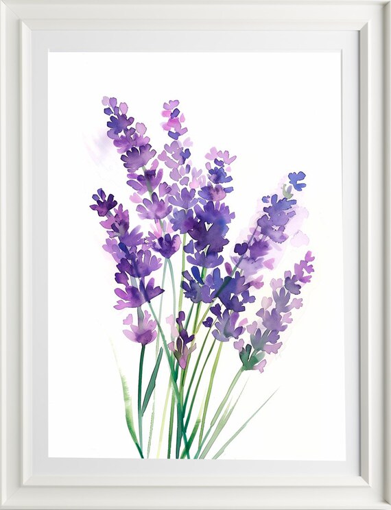 Lavender Field Watercolor Art Print