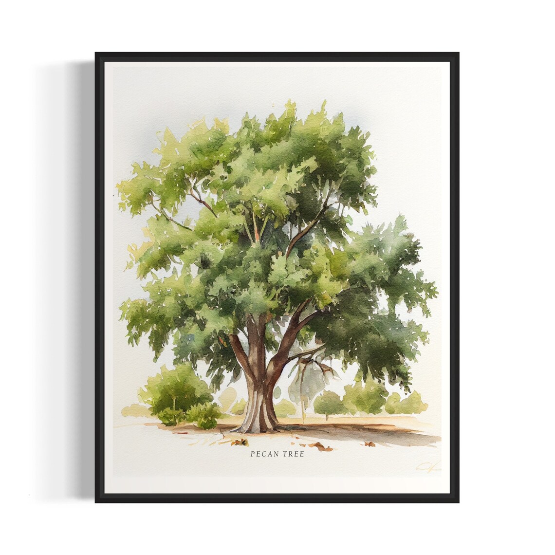 Pecan Tree Nature Art Print, Landscape Poster