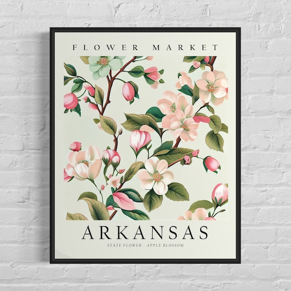 Arkansas State Flower Apple Blossom Botanical Art Print