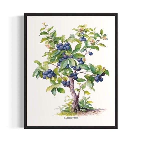 Blueberry Tree Art Print Blueberry Tree Wall Art Poster