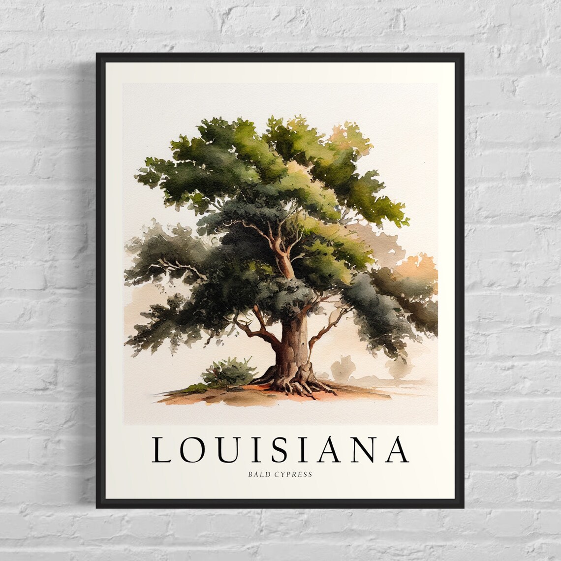 Louisiana State Tree Bald Cypress Wall Art Print