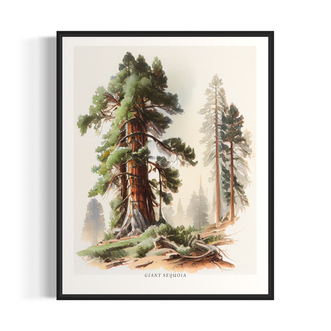 Giant Sequoia Forest Watercolor Majestic Redwood Tree Poster