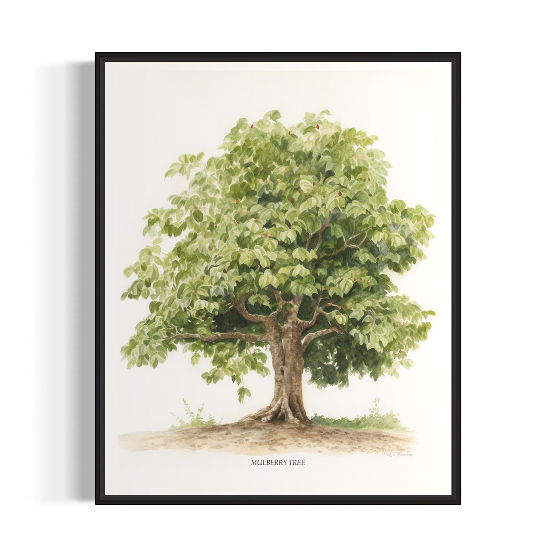 Mulberry Tree Art Print, Nature Wall Poster