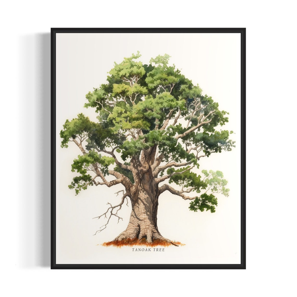 Tanoak Tree Art Print Tanoak Tree Wall Art Poster