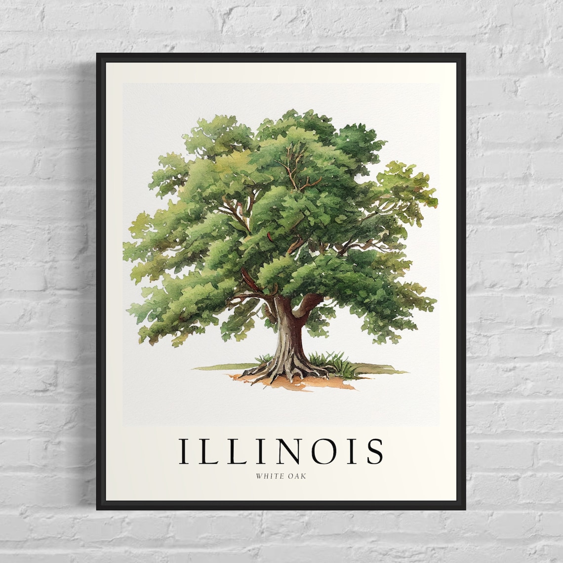 Illinois State Tree White Oak Art Print, Travel Poster