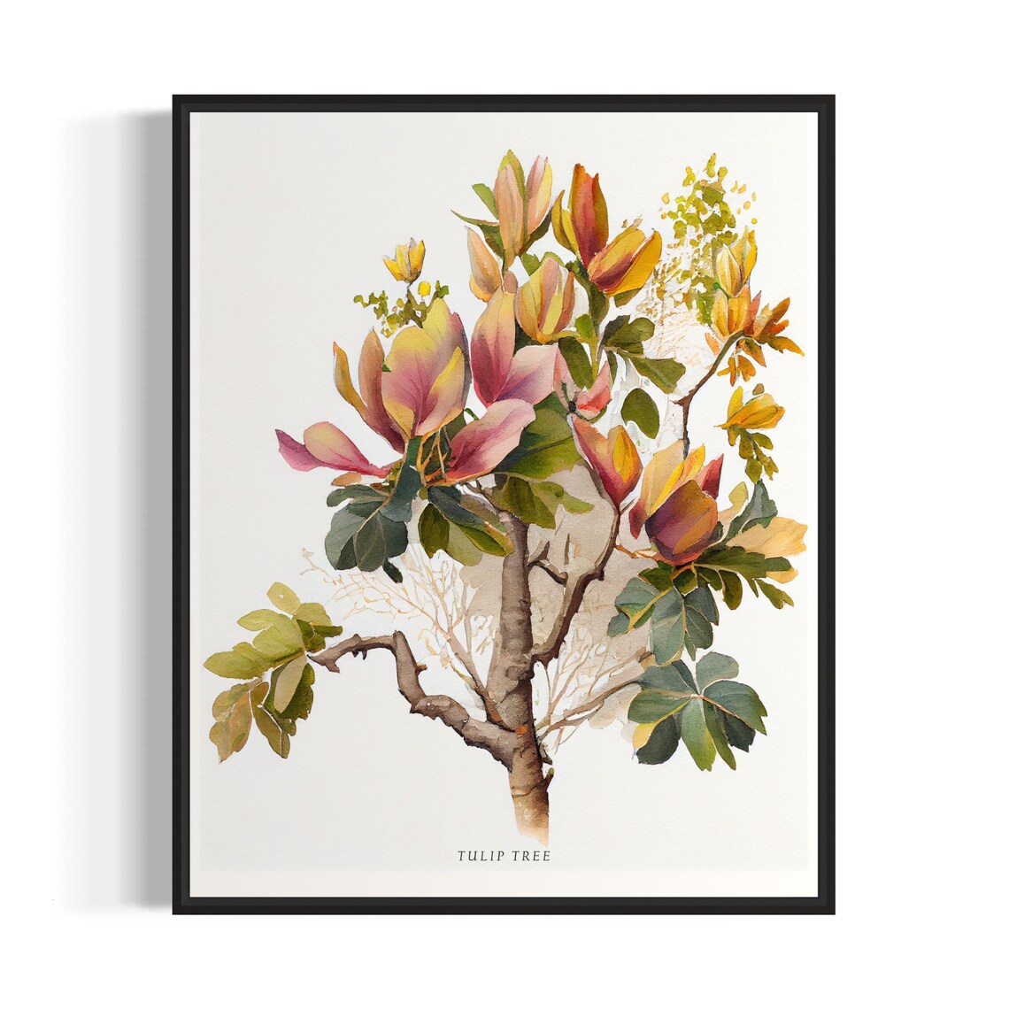 Tulip Tree Art Print, Botanical Wall Decor