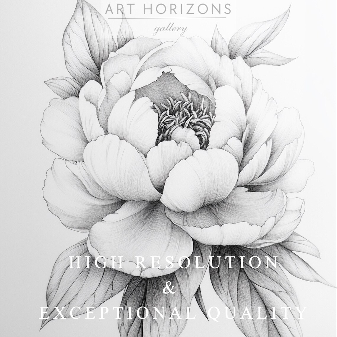 Peony Bloom Detailed Sketch Gray Monochrome Botanical Art Style Poster - Image 3