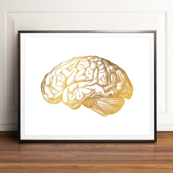 Brain Art Science Art Print Gold Foil Print Brain Anatomy Poster Neuroscience Gift For Doctor Vintage Medical Illustration Print