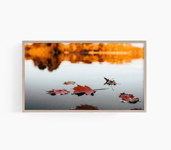 Autumn Leaves Floating On Calm Lake Golden Reflection Fall Nature Photo Poster