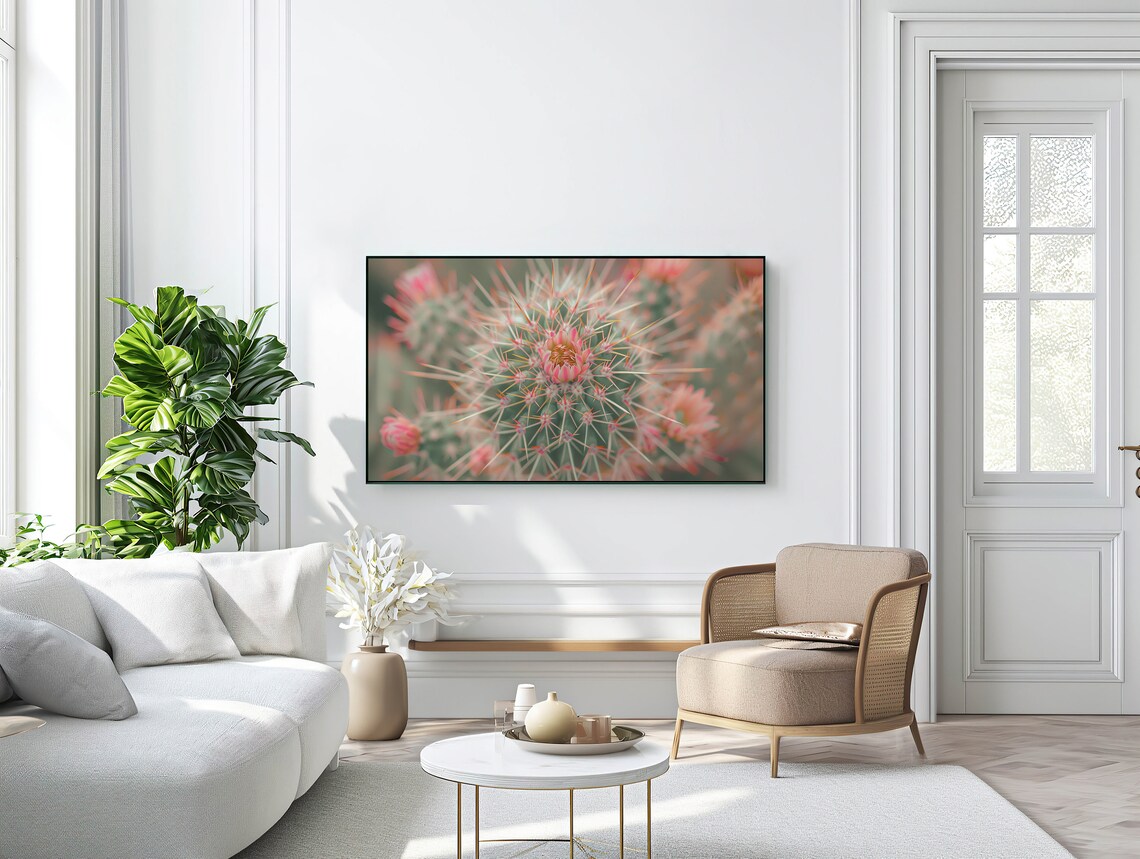 Blooming Cactus Macro Pink Flowers Desert Plant Close Up Photo Poster - Image 2