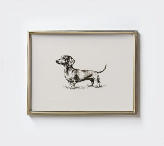 Dachshund Sketch Print, Minimalist Farmhouse Decor
