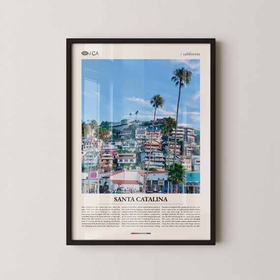 Santa Catalina Island Avalon Hillside Town View Travel Poster
