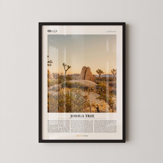 Joshua Tree National Park Mojave Desert Sunrise Rock Photo Poster