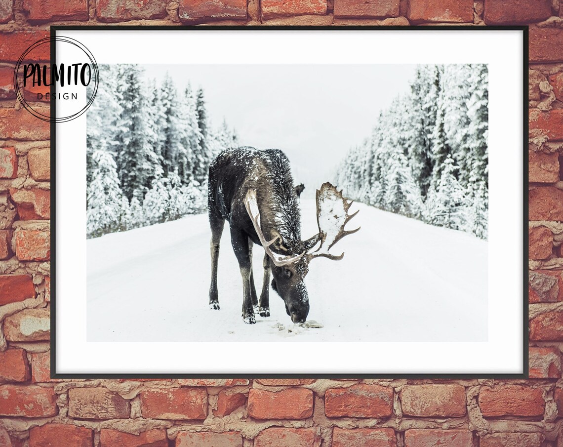 Reindeer Winter Christmas Deer Scandinavian Art Print - Image 2