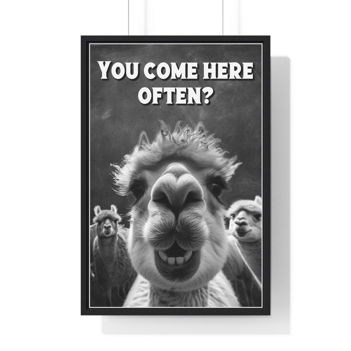 Alpaca Selfie Framed Close-Up You Come Here Often Funny Bathroom Poster