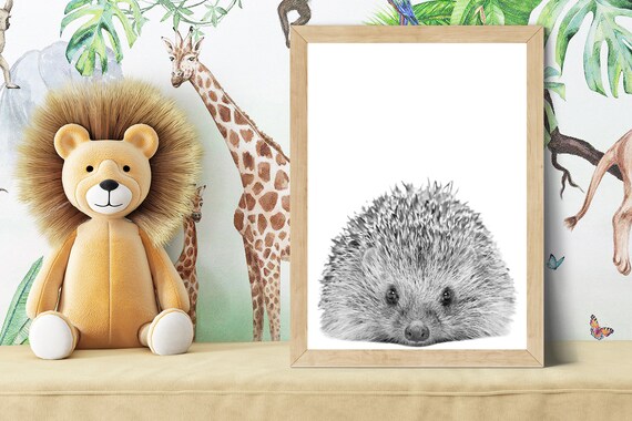 Baby Hedgehog Curled Up Portrait Black and White Nursery Poster