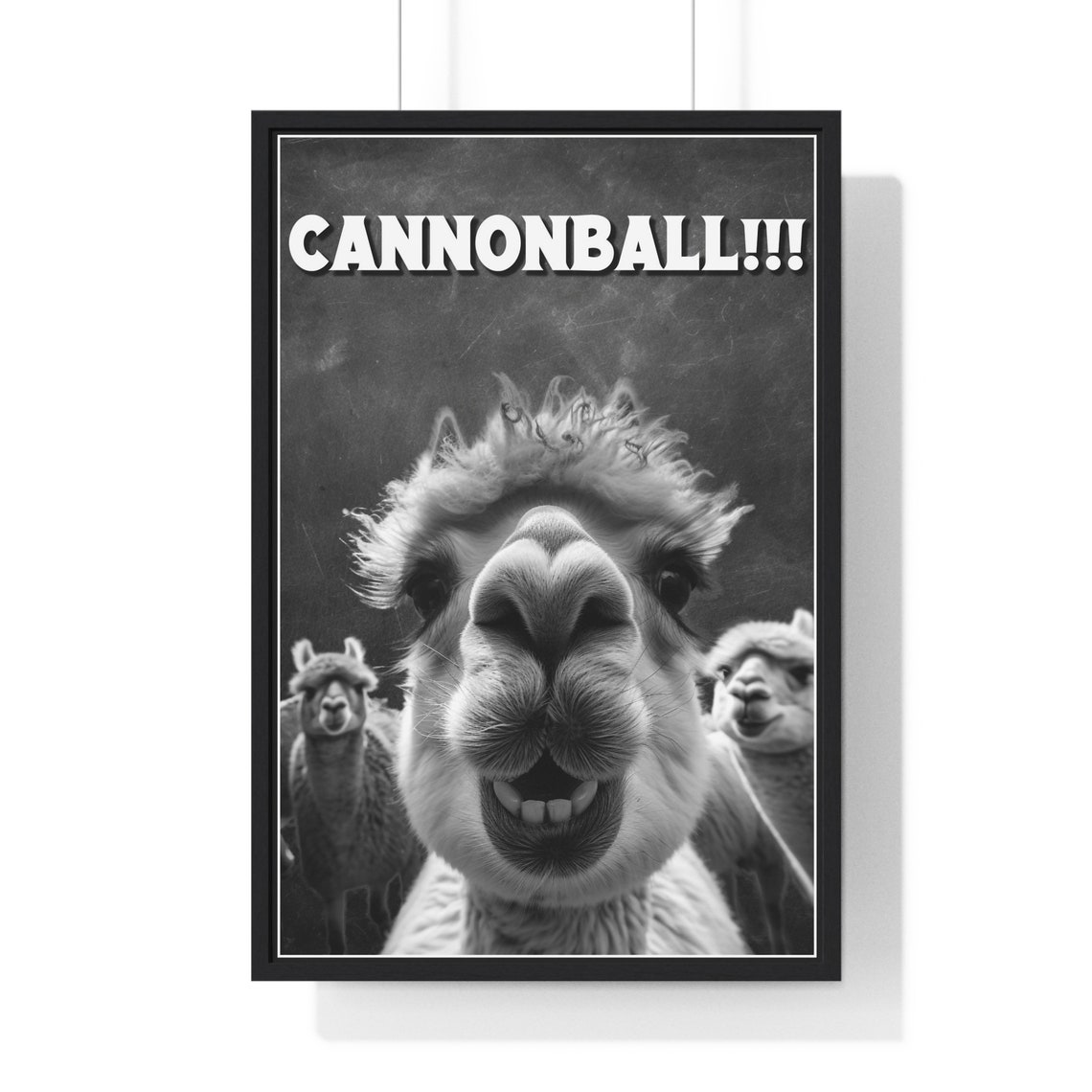 Black And White Goofy Alpaca Selfie Cannonball Funny Bathroom Poster
