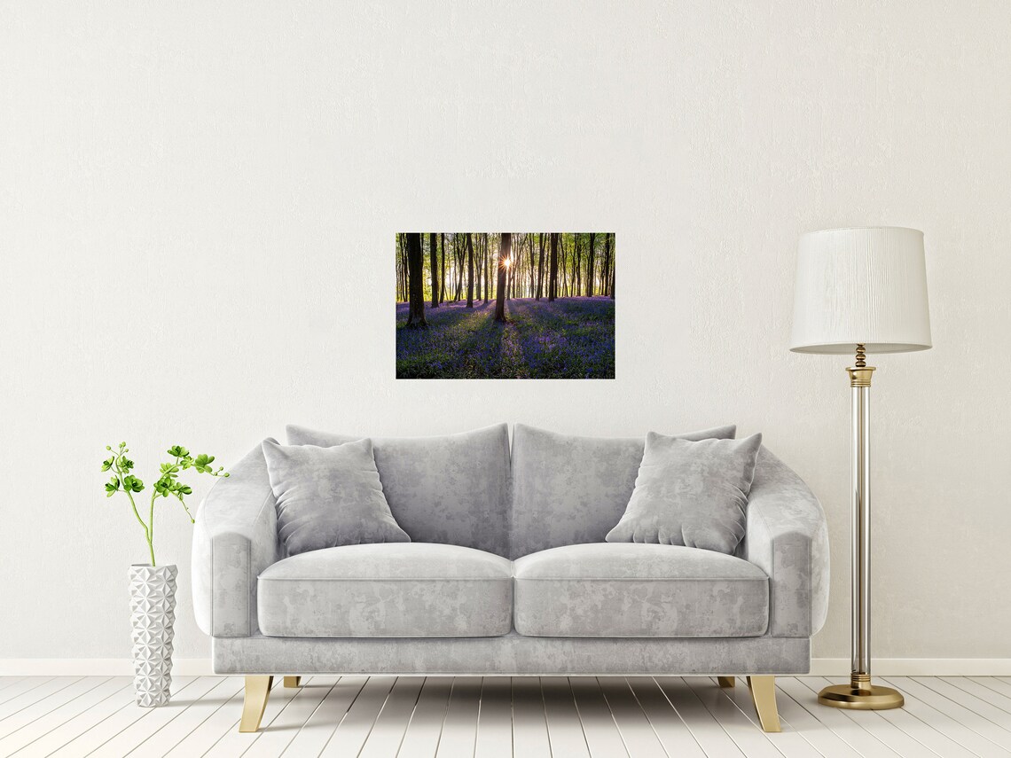 Bluebell Forest New Forest Hampshire Sunburst Woodland Carpet Poster - Image 2