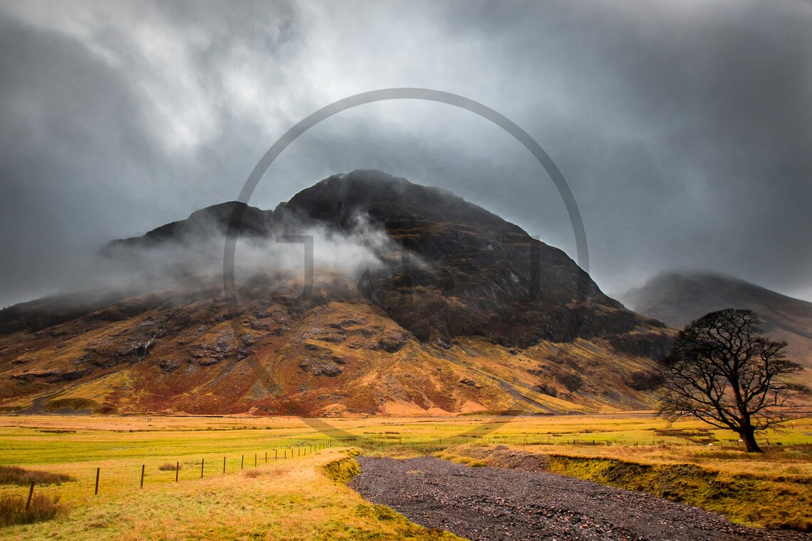 Glencoe Scotland Misty Mountain Over Golden Moor And Lone Tree Poster - Image 3