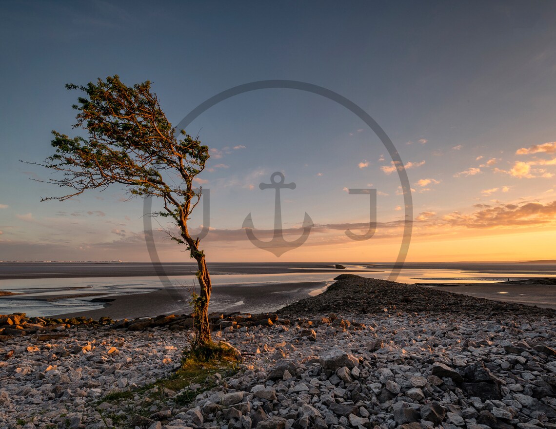 Jenny Browns Point Near Morecambe Lancashire Art Print - Image 3