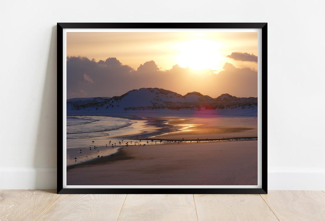 Fraserburgh Beach Scotland Golden Sunset Wet Sand Birds Dunes Poster