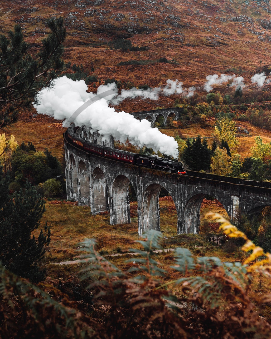 Glenfinnan Viaduct Steam Train Autumn Highlands Scotland Poster - Image 3