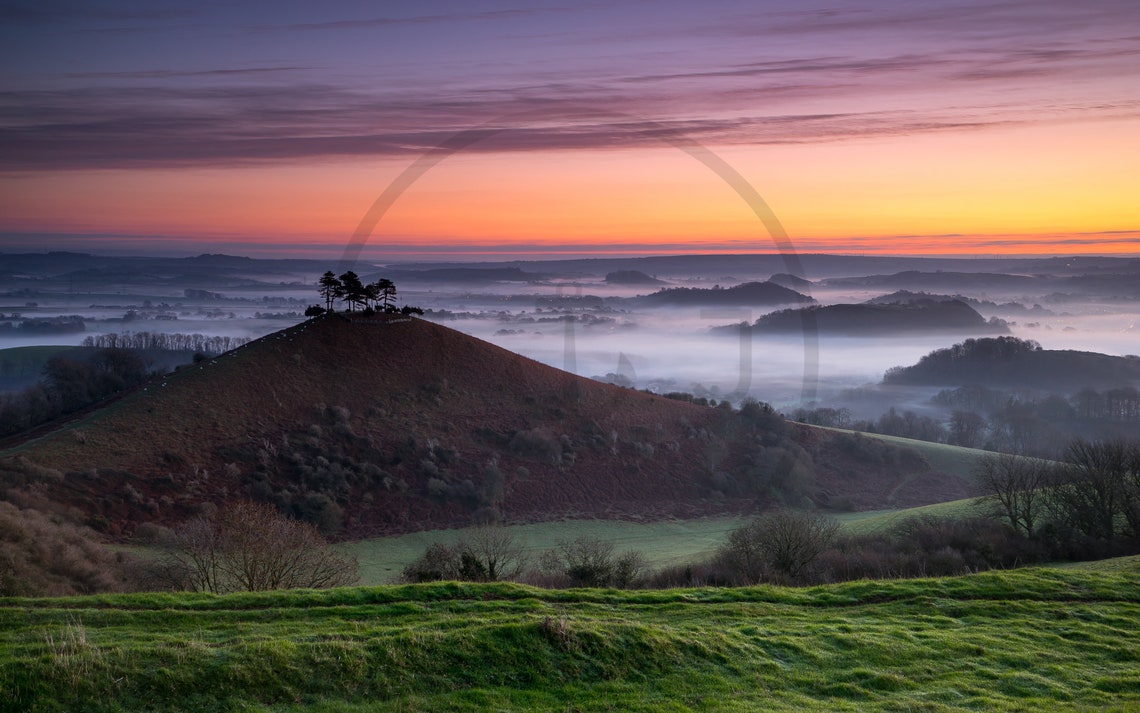 Sunrise Over a Misty Valley With Lone Trees on a Green Hilltop Poster - Image 3