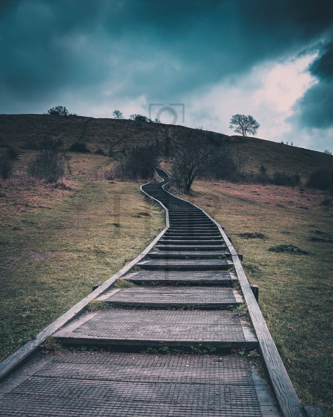 St Catherines Hill Winchester Boardwalk Path Under Stormy Sky Poster - Image 3