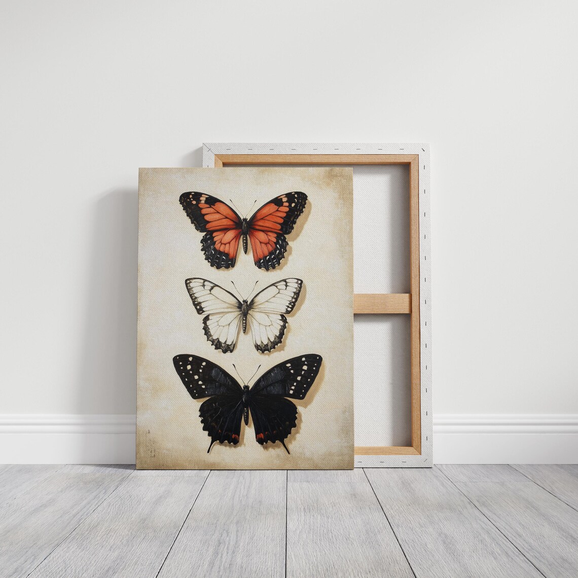Orange White Black Butterfly Trio Vintage Entomology Study Art Poster - Image 6