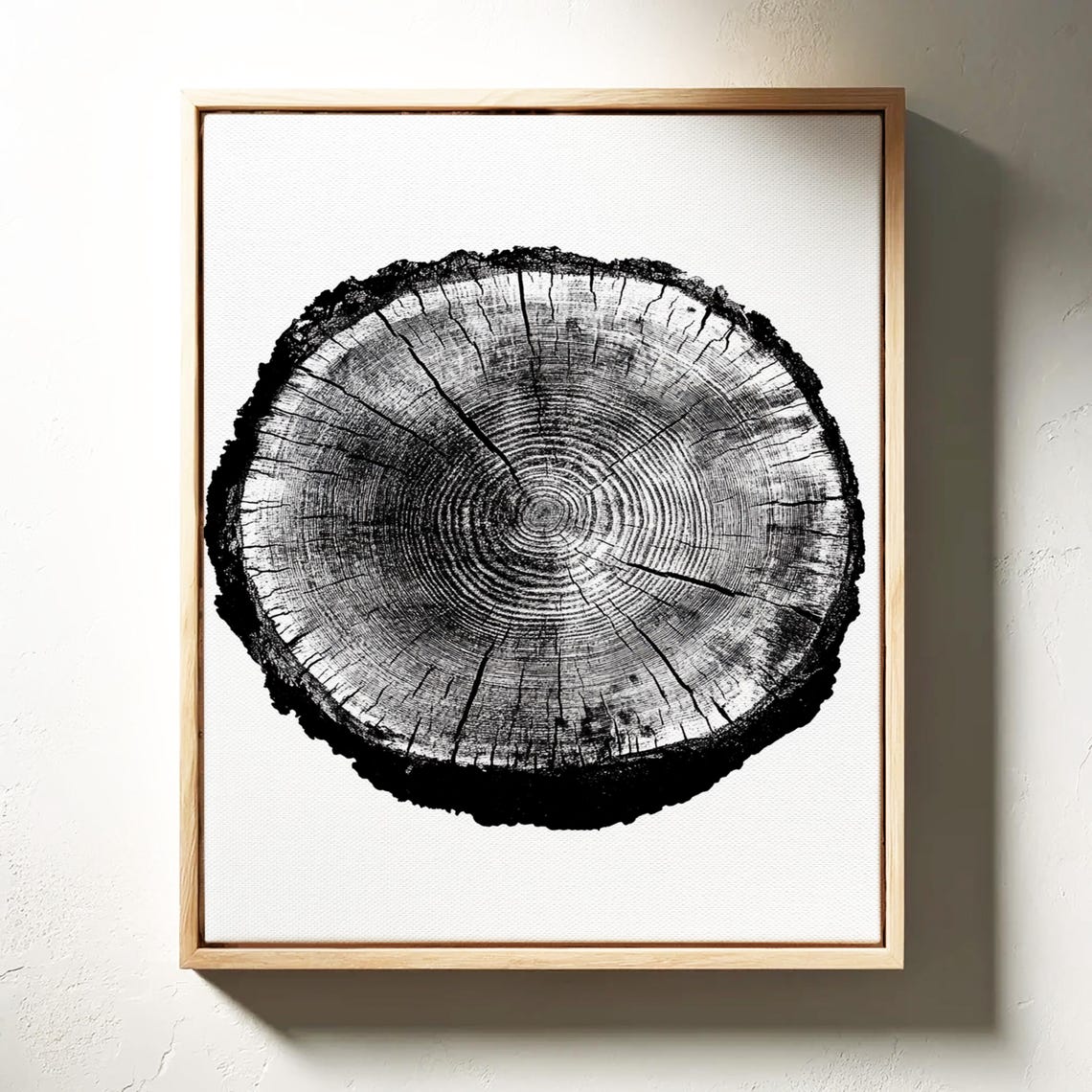 Black Tree Ring Stump On White Minimalist Botanical Art Poster - Image 3