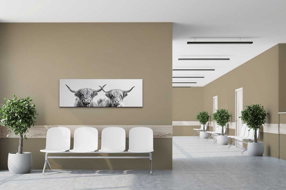 Panoramic Highland Cow Wall Art Print - Image 4