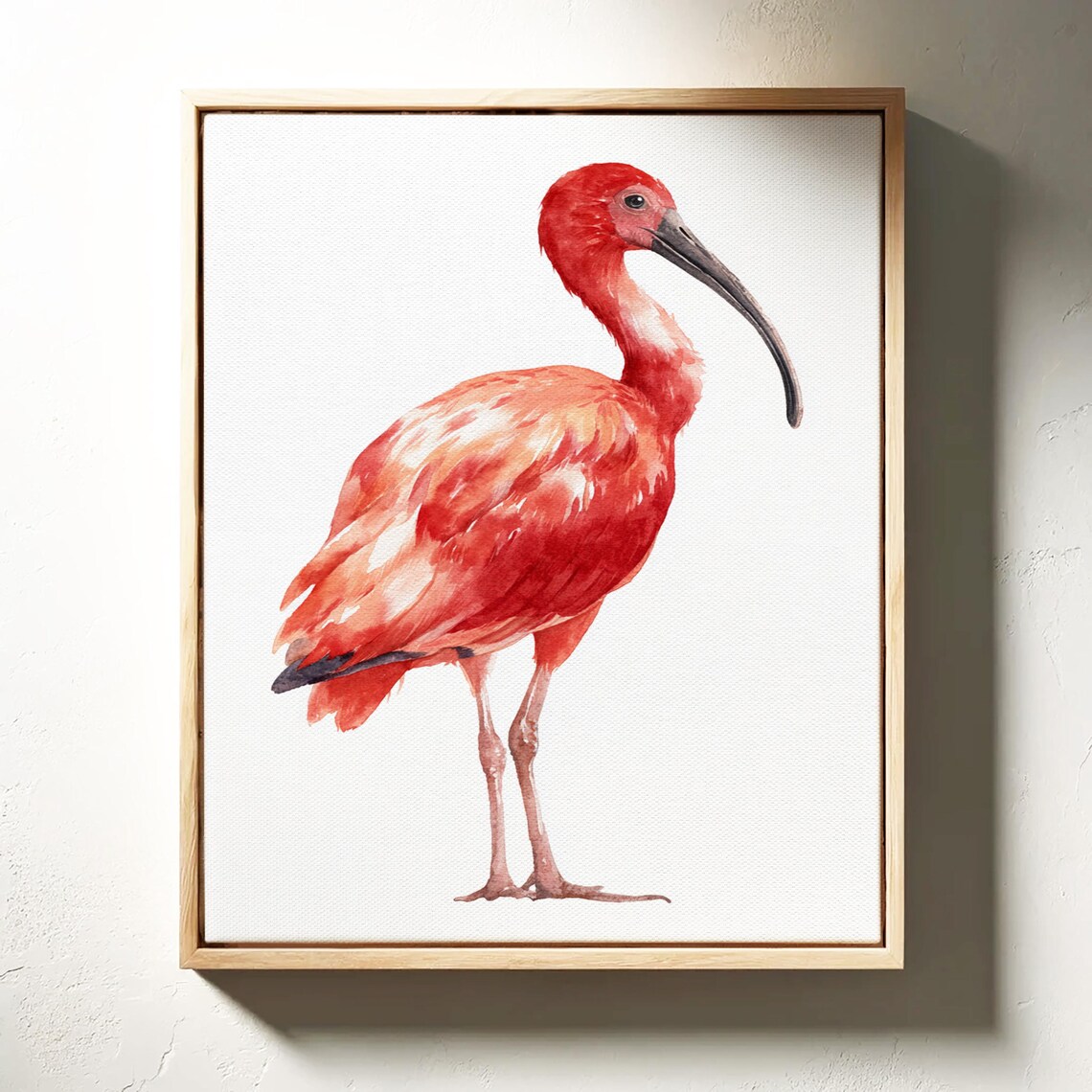 Scarlet Ibis Watercolor Tropical Red Bird Portrait Art Poster
