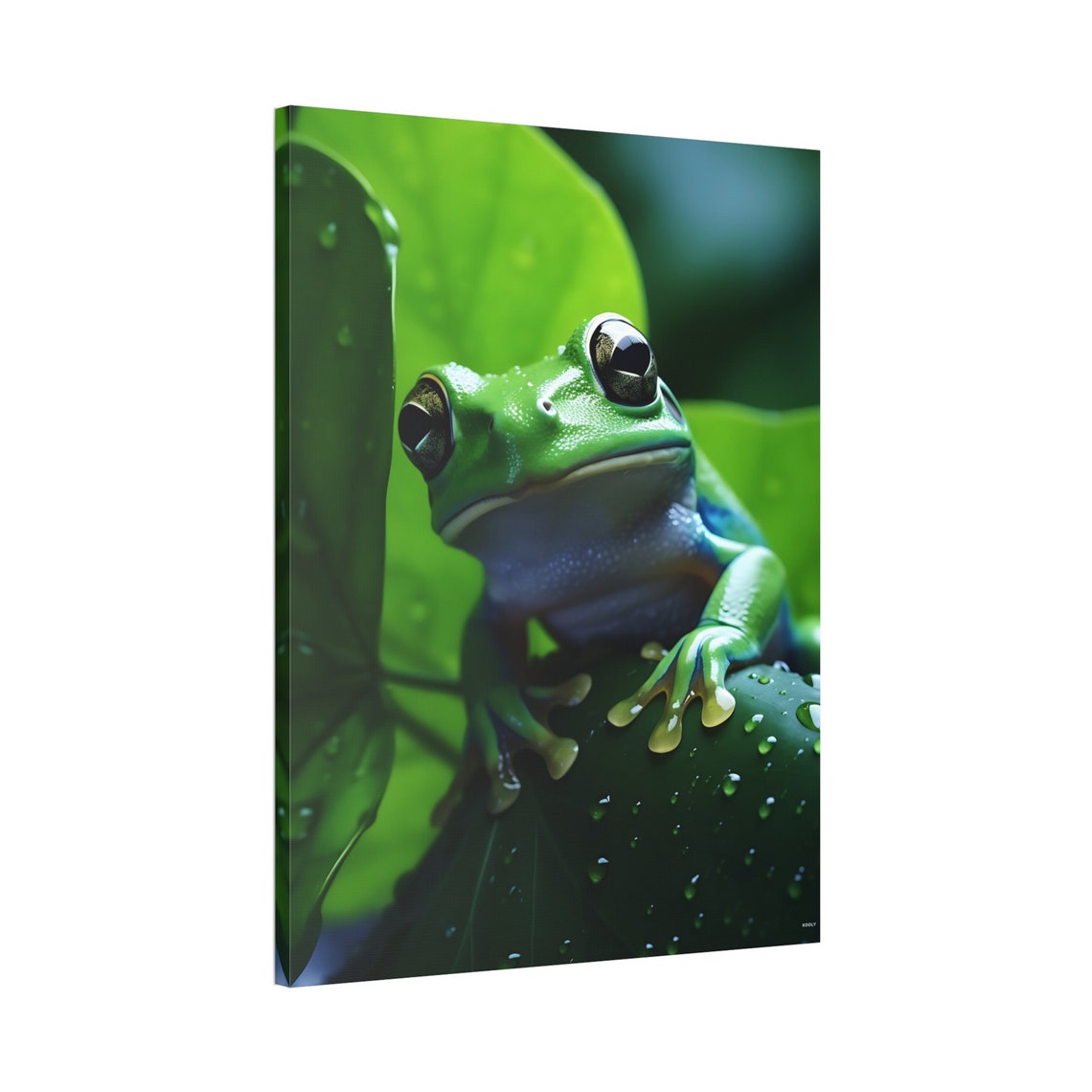 Bright Green Tree Frog Resting On A Dewy Leaf Macro Photo Poster - Image 7