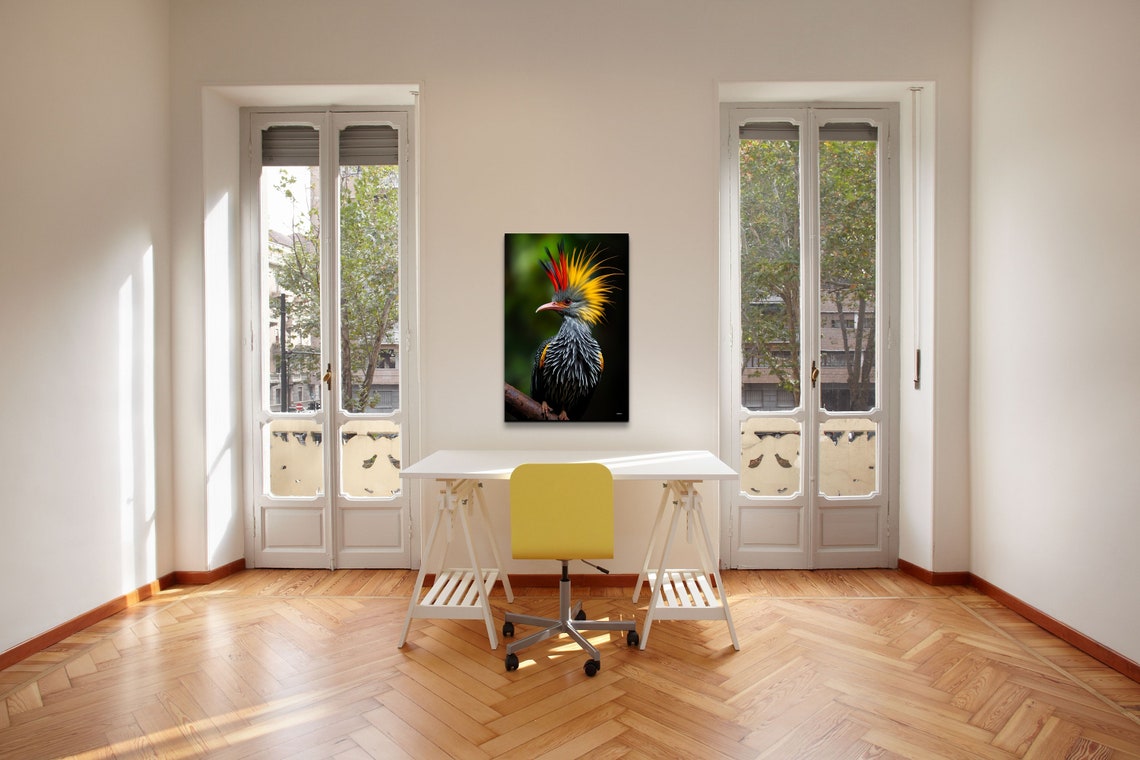 Exotic Crested Bird Colorful Plumage Tropical Wildlife Art Poster - Image 6